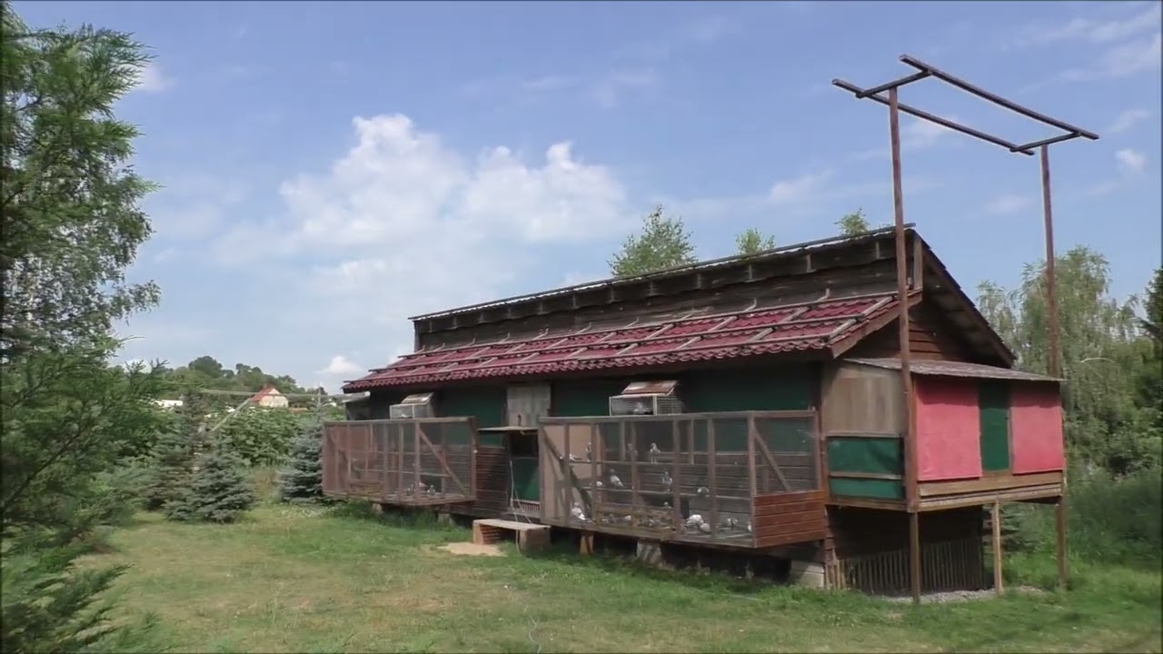 Zossen V 315km 29 06 2024  Bruxela 928km  29 06 2024    Mierzwa Jerzy