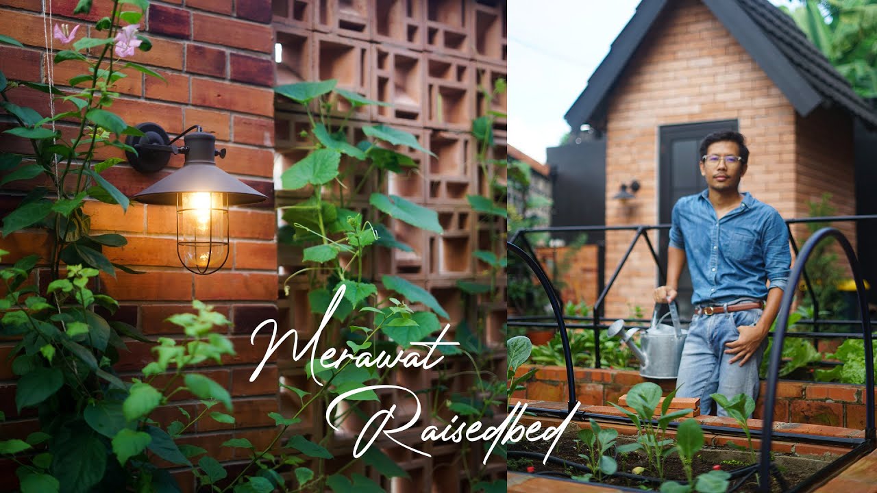 Merawat Raisedbed | Membersihkan Gulma dan Membuat Kerangka Penghalang Hama