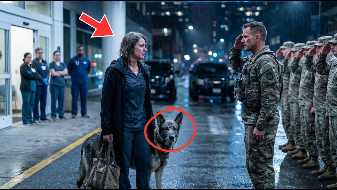 A Nurse Was Fired at Midnight—What the Soldiers and War Dog Did Next Shocked Everyone