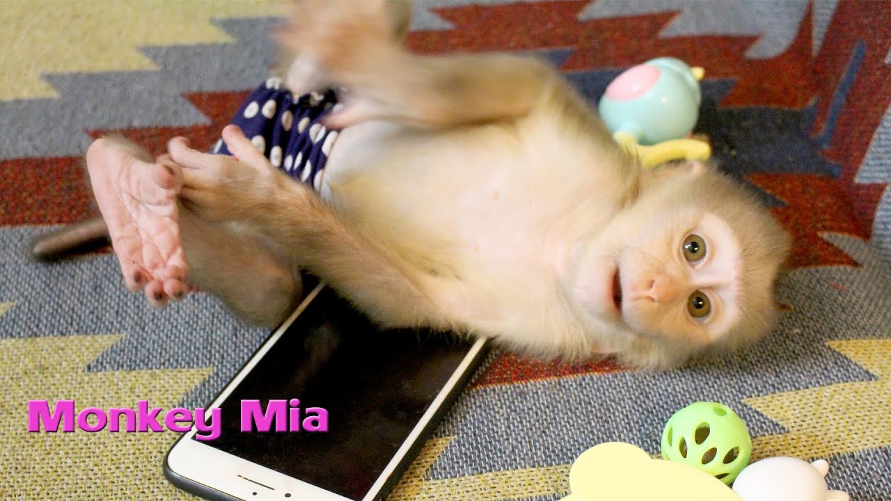 little girl Mia is hilarious