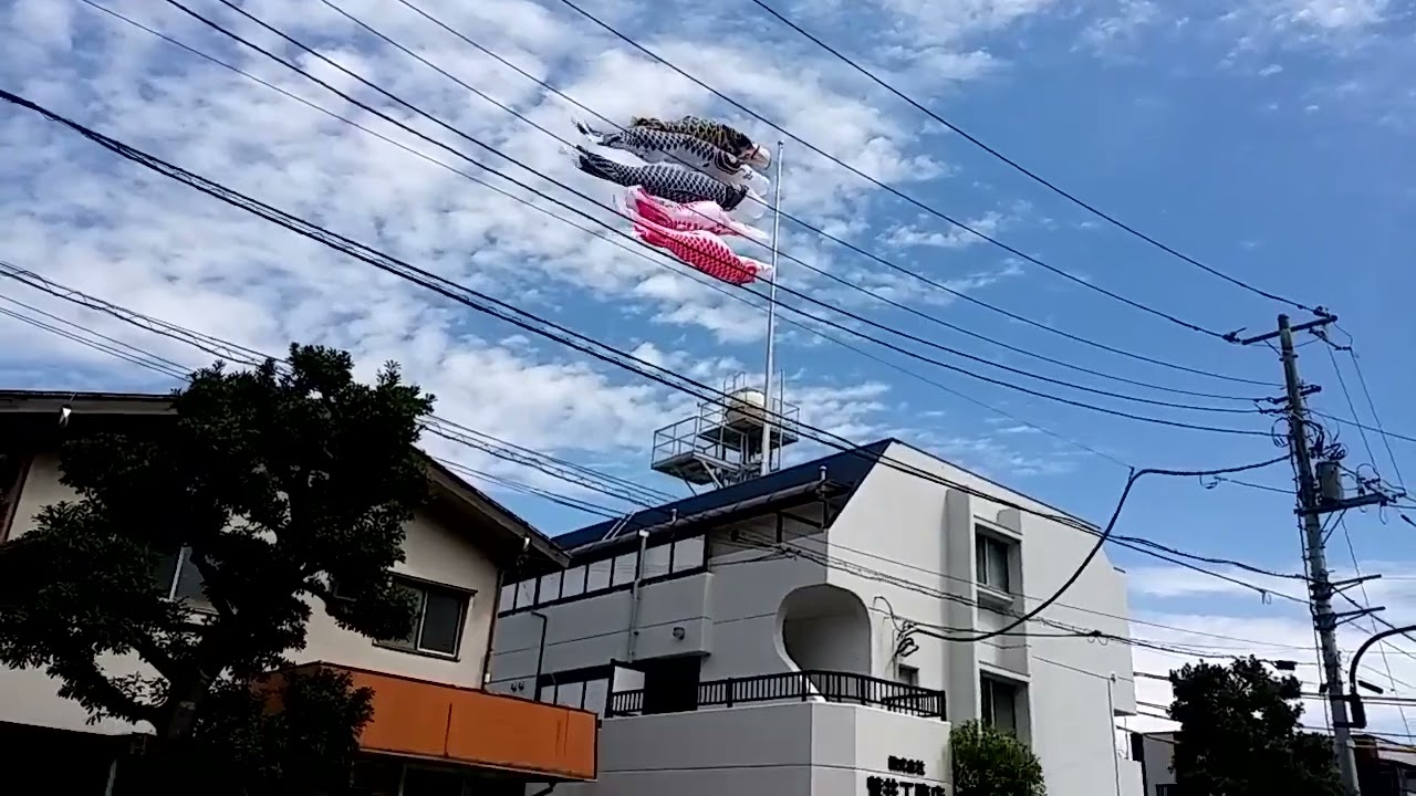2026年1月25日
