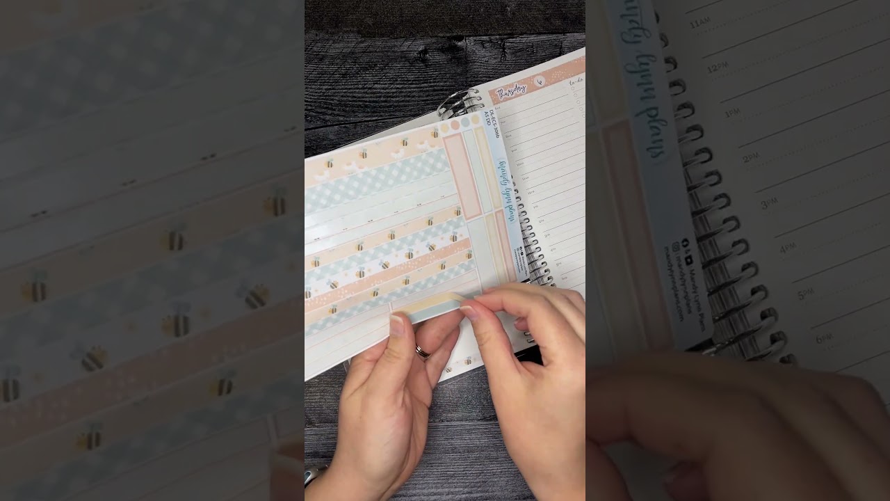 Daily Plan with Me - EC A5 Daily Duo - Honey Bee #plannerstickers #ecdd #dailyplanner #plannerlayout