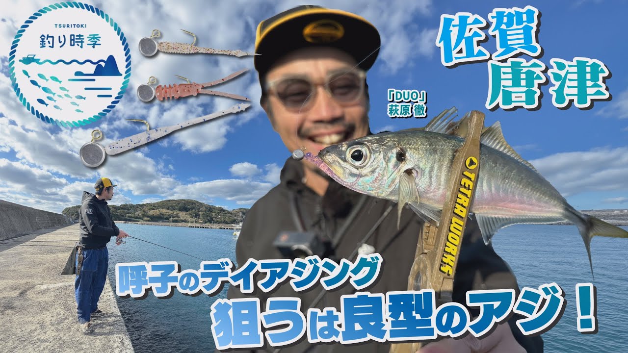 【釣り時季】呼子のデイアジング　狙うは良型のアジ!