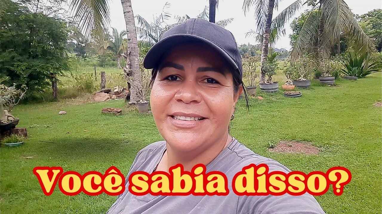 EXPLICAÇÃO AOS MEUS SEGUIDORES, o que muita gente não sabe sobre isso...
