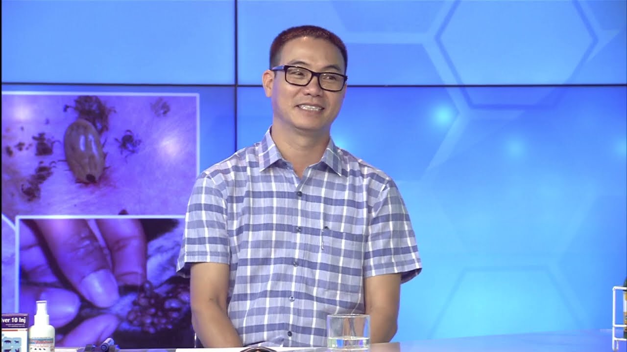 TƯ VẤN BỆNH KST ĐƯỜNG MÁU Ở THÚ CƯNG | VTC16_ViVet Clinic