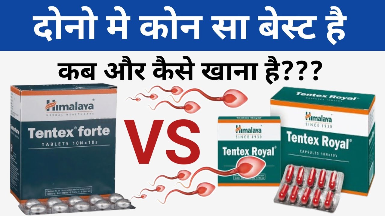 Tentex Forte VS Tentex royal capsule दोनो मे कौन सा बेस्ट है || कब कैसे लेना है || डर्क्स Rabbani