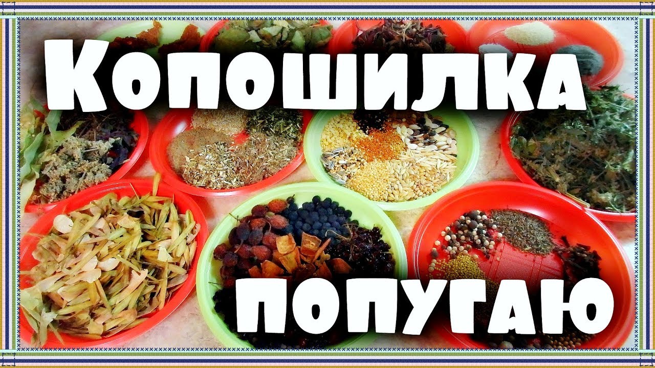 КОПОШИЛКА ДЛЯ ПОПУГАЯ. Делаем РАЗНООБРАЗНУЮ КОПОШИЛКУ для попугая.