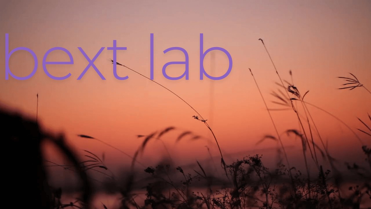 BETWEEN DECISIONS - Experiment Log #18 | BEXT LAB