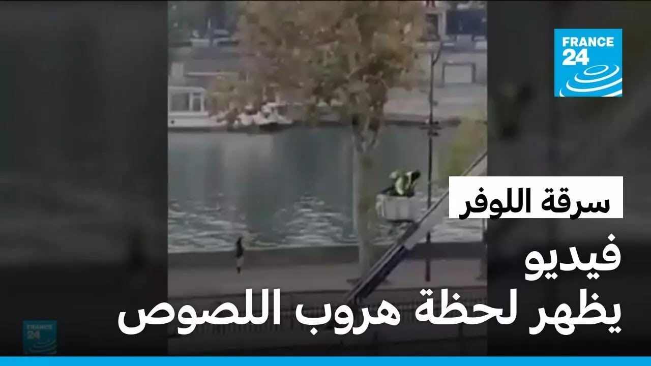 فيديو يظهر لحظة هروب اللصوص بعد سرقة المجوهرات من اللوفر
