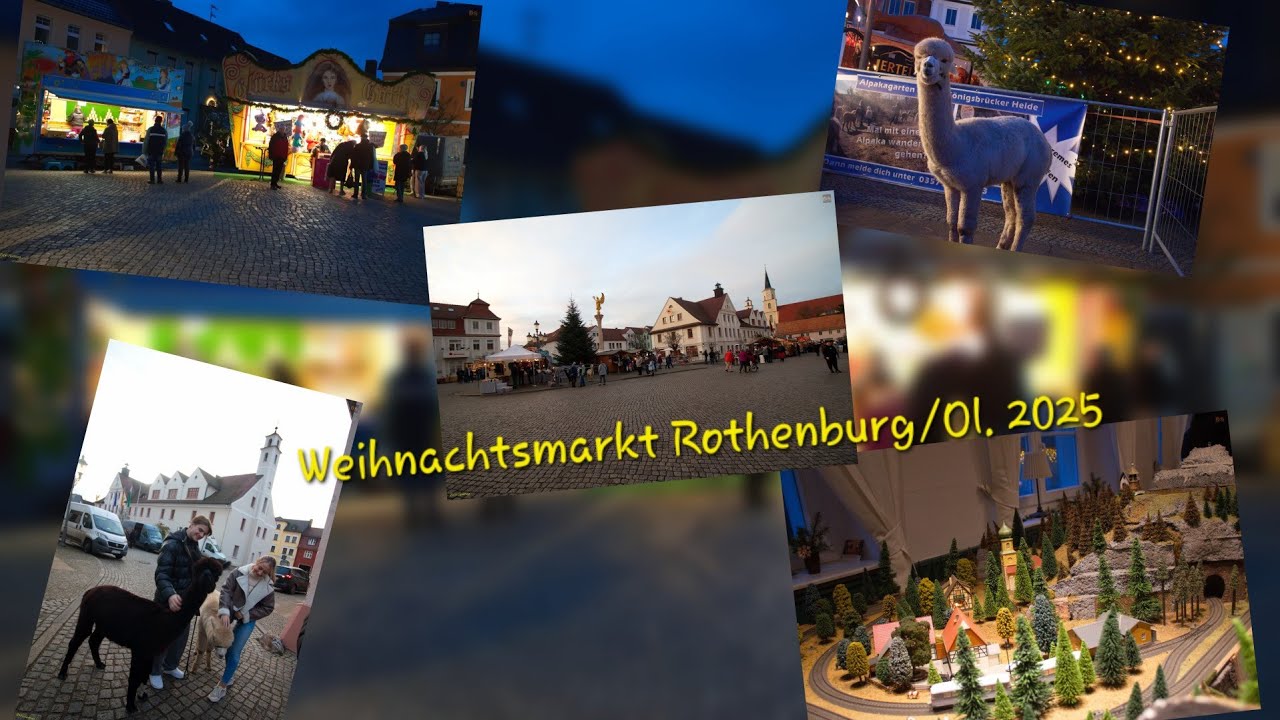 #Weihnachtsmarkt #Rothenburg/Ol. mit #Vincent #Gross & den #Alpakas #Alpakagarten #Königsbrück