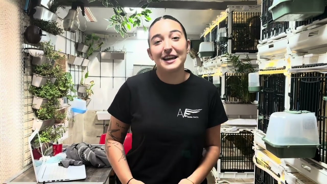 La Chica de Moldes Ave🦜🪴🥰