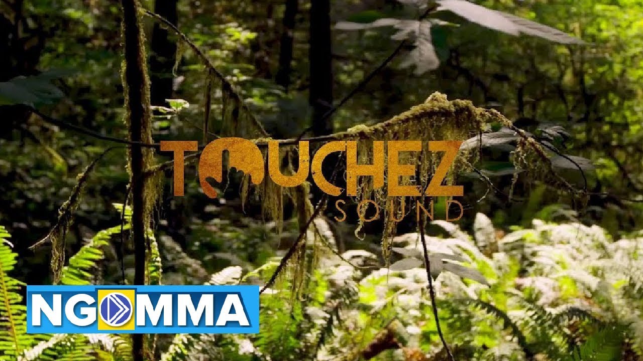 Mr T Touch feat Bill Nass - Simu Moja (Official video)