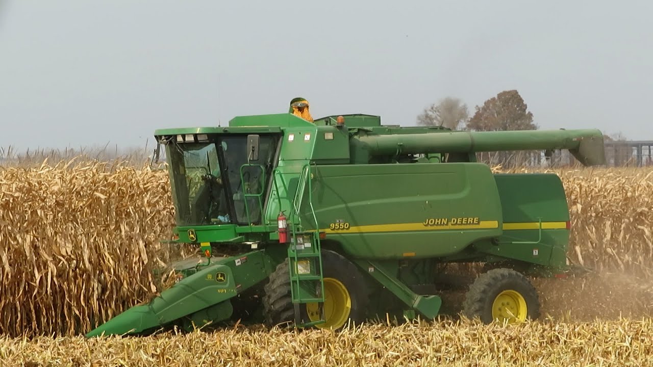 Corn Harvest 2024 | John Deere 9550 Combine Harvesting Corn | Ontario, Canada