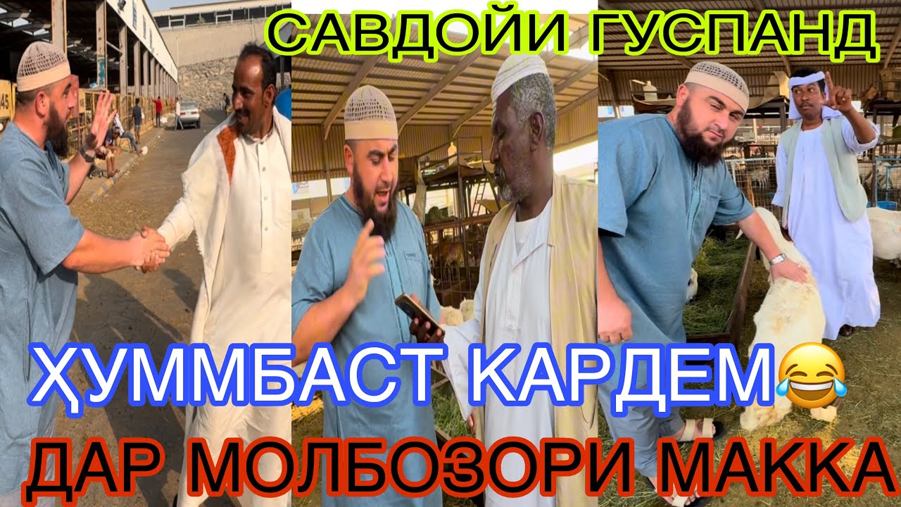 МОЛБОЗОРИ МАККА БУБИНЕД ҶАЛОБАКОШ БУДАСТ МАРАМ ҲУМБАСТ КАРДЕМ ДАР САВДОЙИ ГУСПАНД