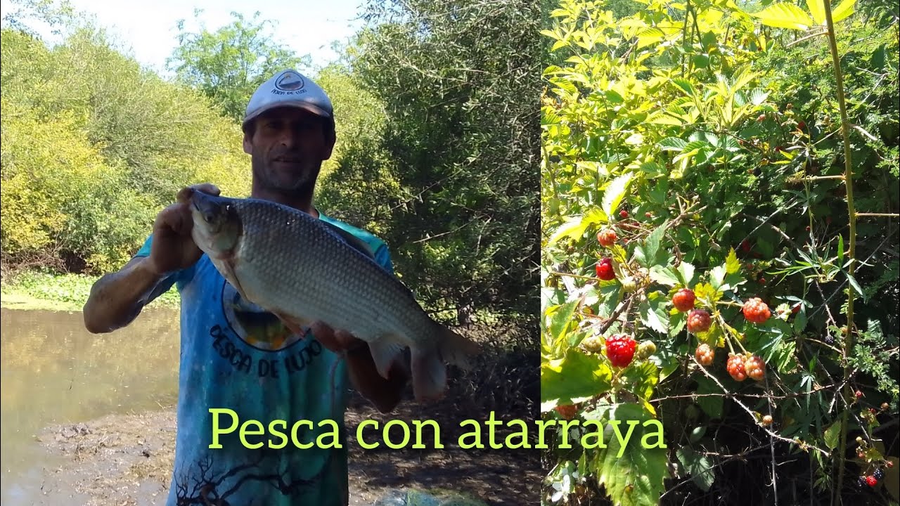 pesca con atarraya todo terreno