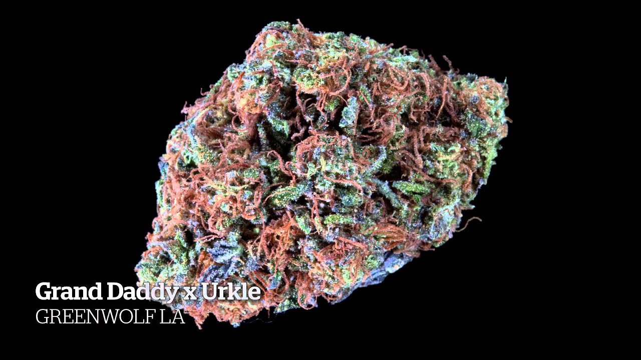 2014 HIGH TIMES SF Medical Cannabis Cup Indica Entries