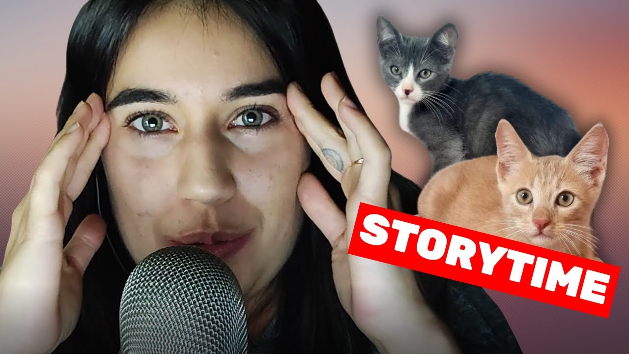 ASM STORYTIME - L'adoption compliquée de nos chatons (ça a failli dégénérer au début)