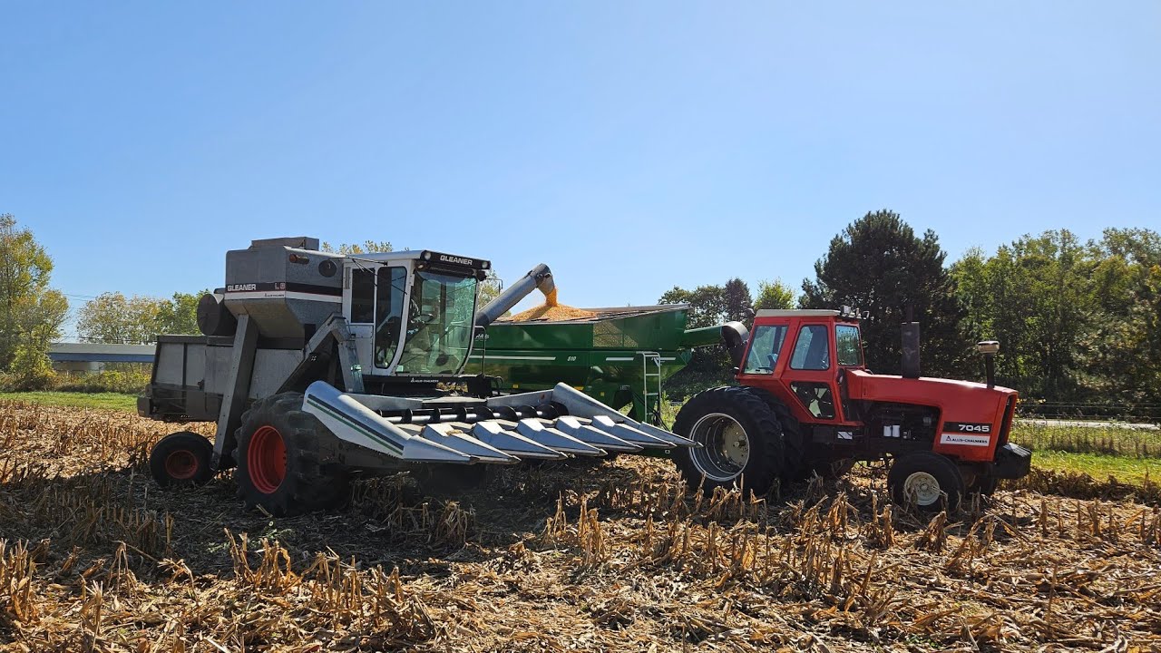 Gleaner L3 Harvesting Corn!