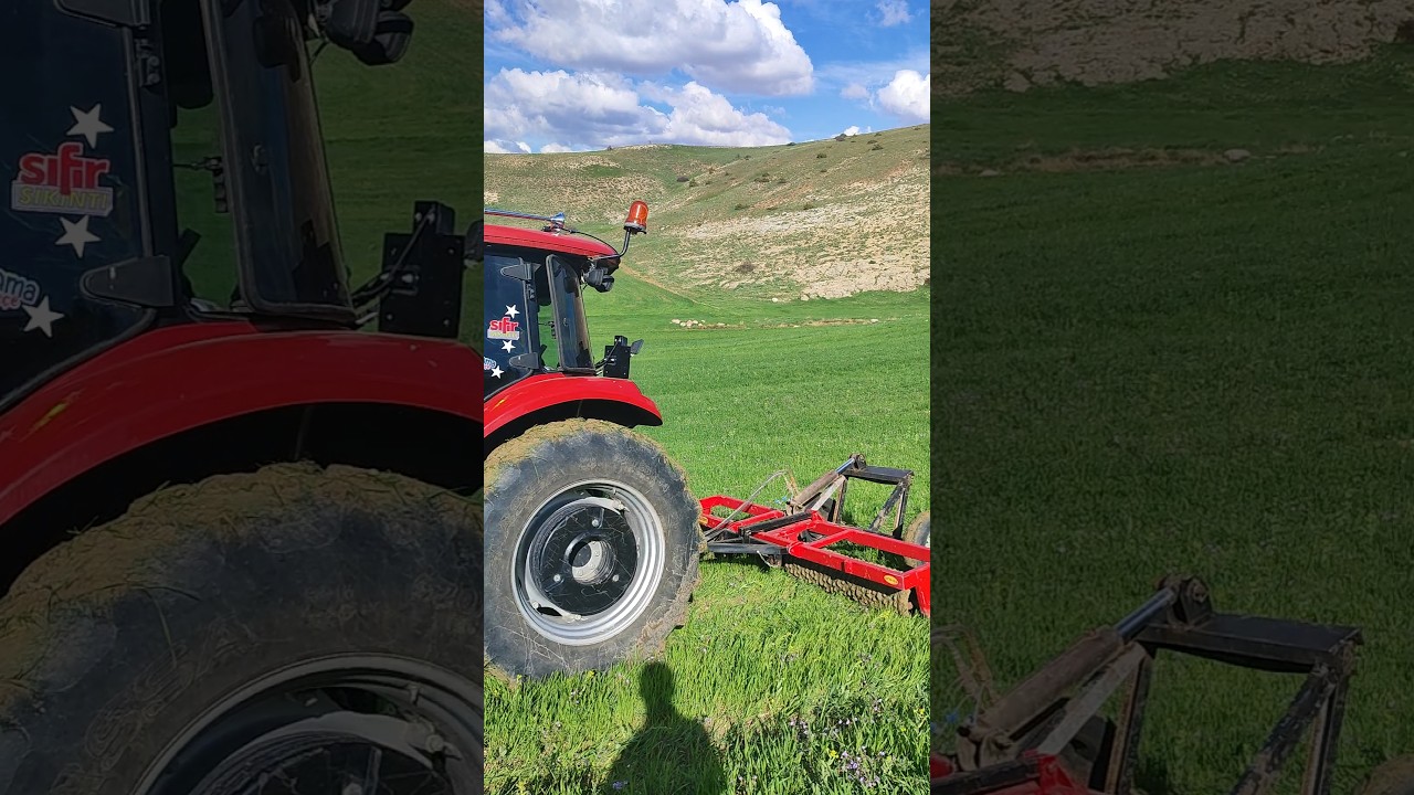 buğday tarlasına merdane &ccedil;ekme sizce işe yarar mı? #&ccedil;alişma #automobile #case #farming #jx90