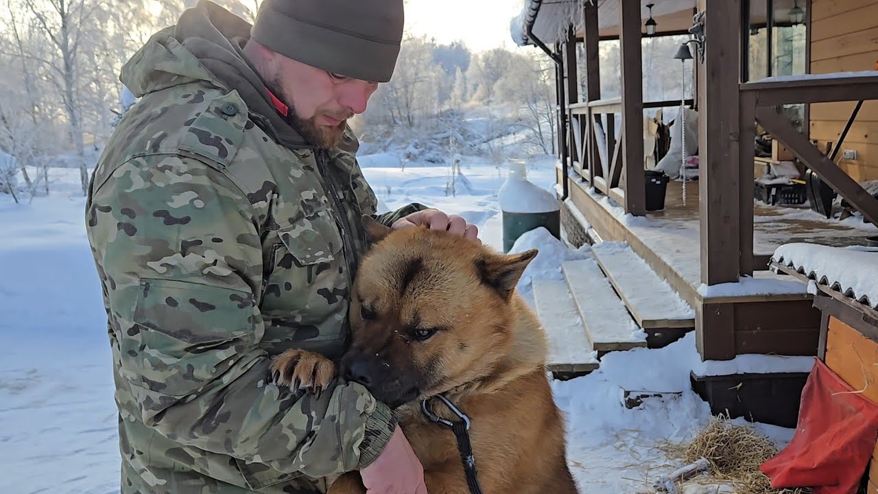 Январские холода, неунывающие собаки и интересный вечер у печки