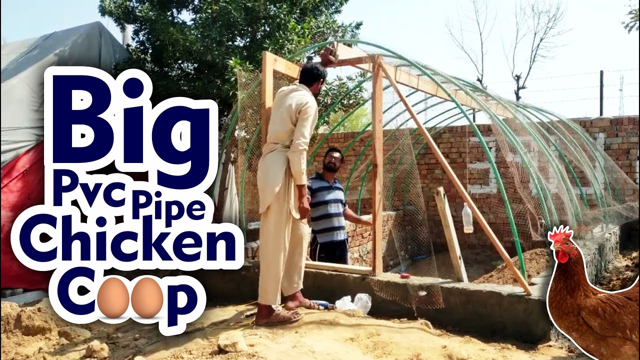 Build a PVC pipe chicken shed | Making big hen house | DIY chicken coop
