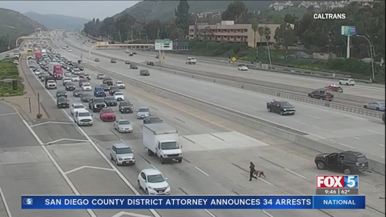 Woman with dog leads pursuit on San Diego highway
