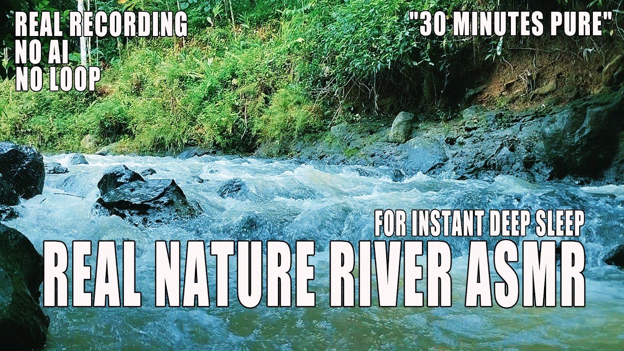 Peaceful Forest Creek Ambience - 30 Minutes Real Stream Sounds (Pure Recording) Rver Sounds ASMR