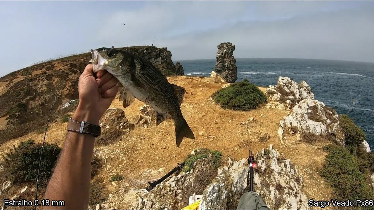 Pesca ao tento, bóia fora de água 2020💪🎣🇵🇹
