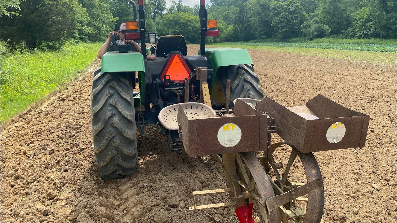 Let’s plant some giant pumpkins