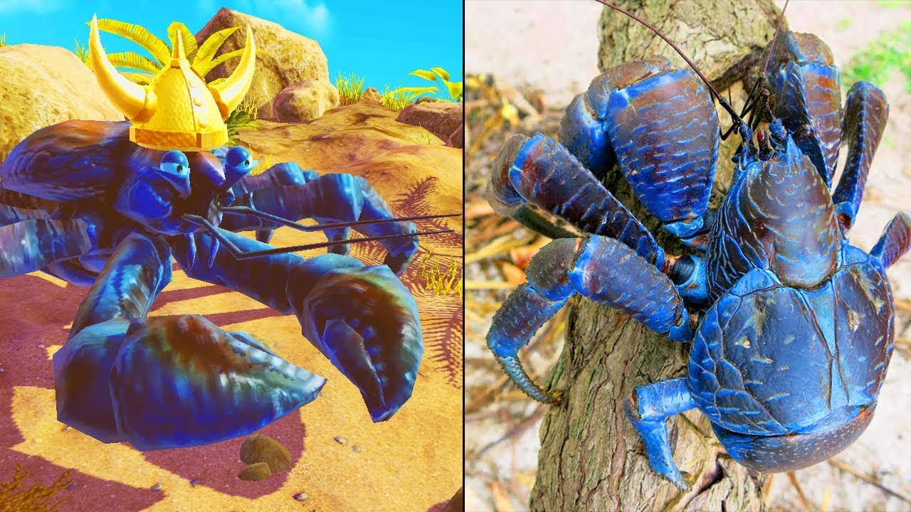 King of Crabs - C&aacute;ch Sở Hữu Si&ecirc;u Cua Khổng Lồ Cực VIP