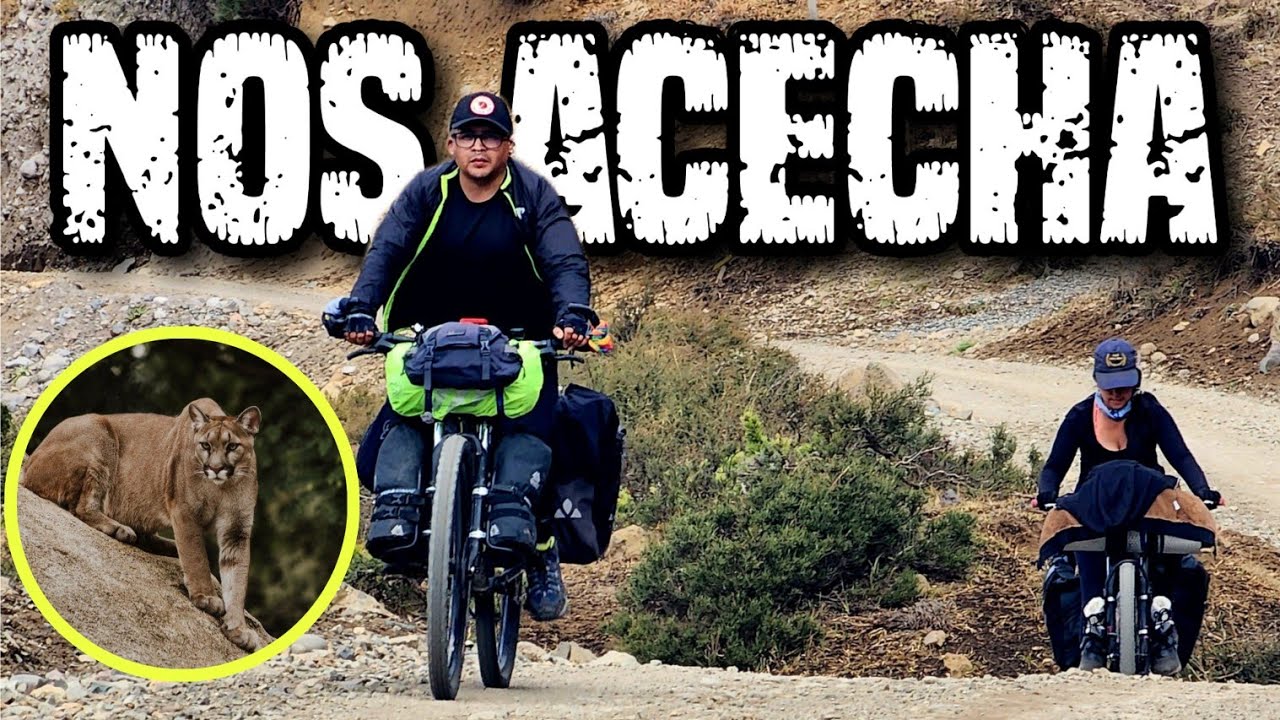 T06/E15. Un PUMA SALVAJE afuera de nuestras carpas. Noche de miedo. Cicloturismo Chile. Alto Bio Bio