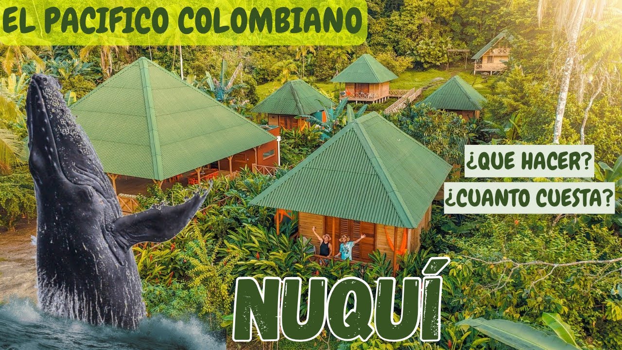 TODO SOBRE NUQUI EN COLOMBIA🇨🇴AVISTAMIENTO DE BALLENAS 🐳
