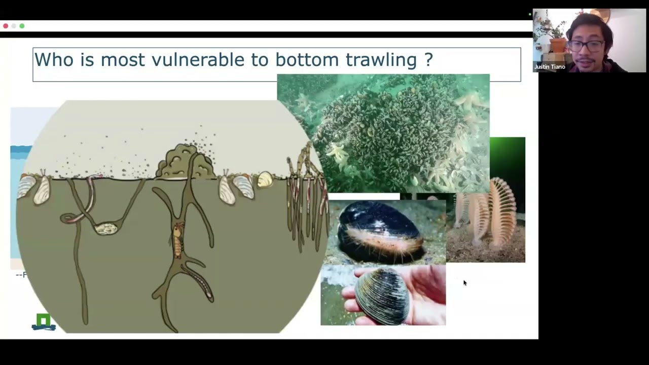 Bottom Trawling in European MPAs | Impacts, Governance & Legal Pathways (Speaker version)