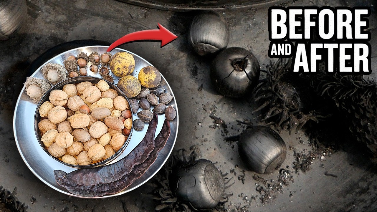 What Happens When You Carbonize Mixed Nuts?