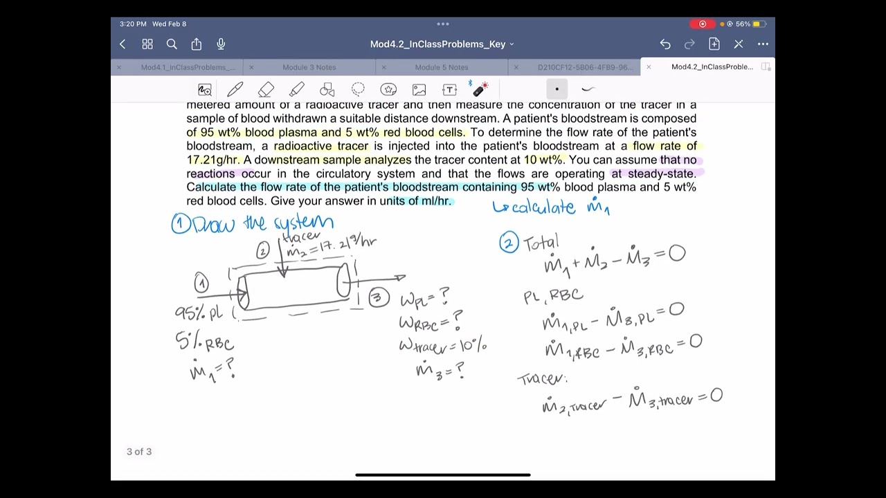 UF BME 3060 - Conservation of Mass in Open, Steady-State, Non-Reacting Systems Example