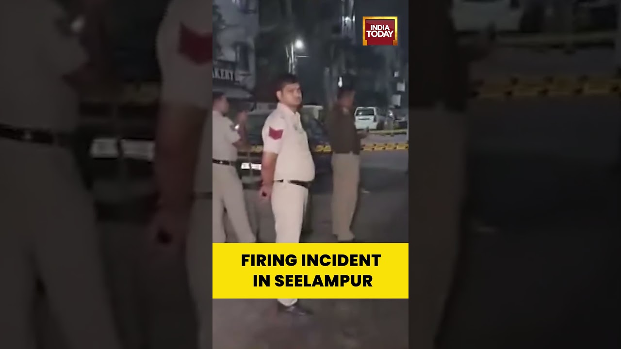 Seelampur Firing: One Dead in Delhi Shooting Incident, Police Launch Investigation | #delhicrime