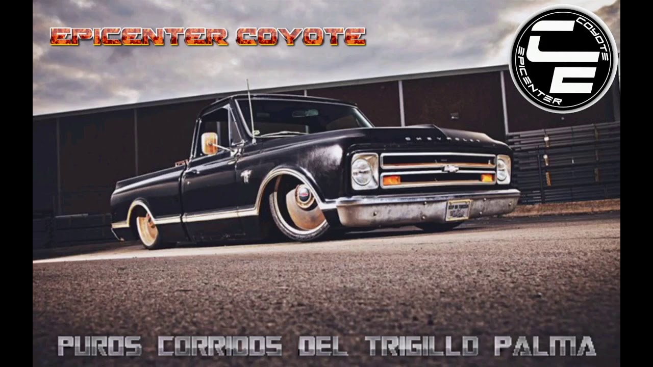 Puros Corridos Del Tigrillo  Palma | MIX Epicenter |