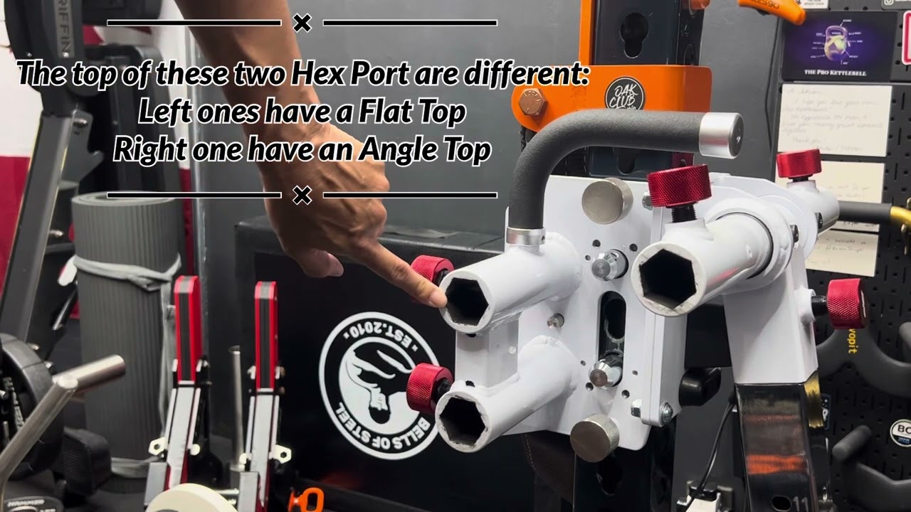 AB Crunch + Back Attack 2 in 1 Setup - Bulletproof Isolator
