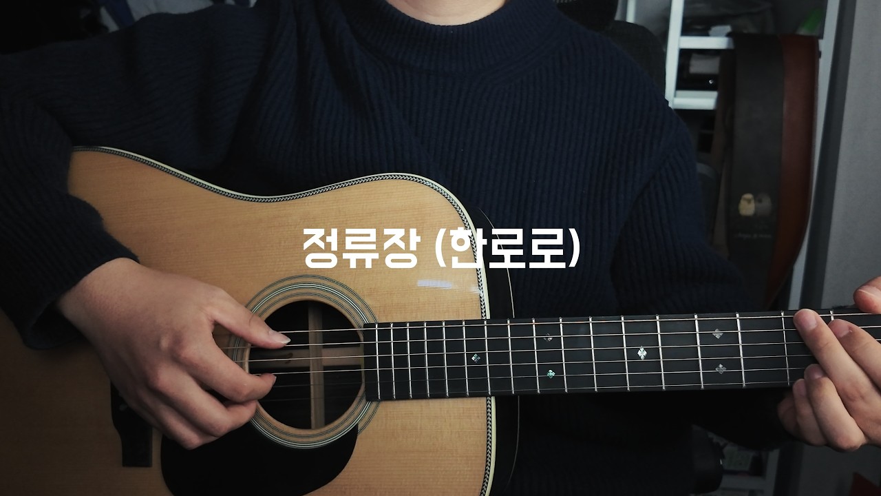[Cover] 한로로 - 정류장 | 노래 커버 (어쿠스틱)