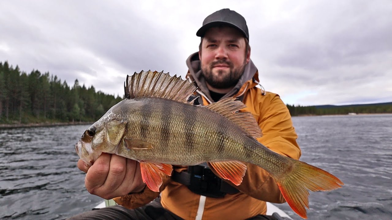 AHVENKALASSA ERÄMAAJÄRVELLÄ