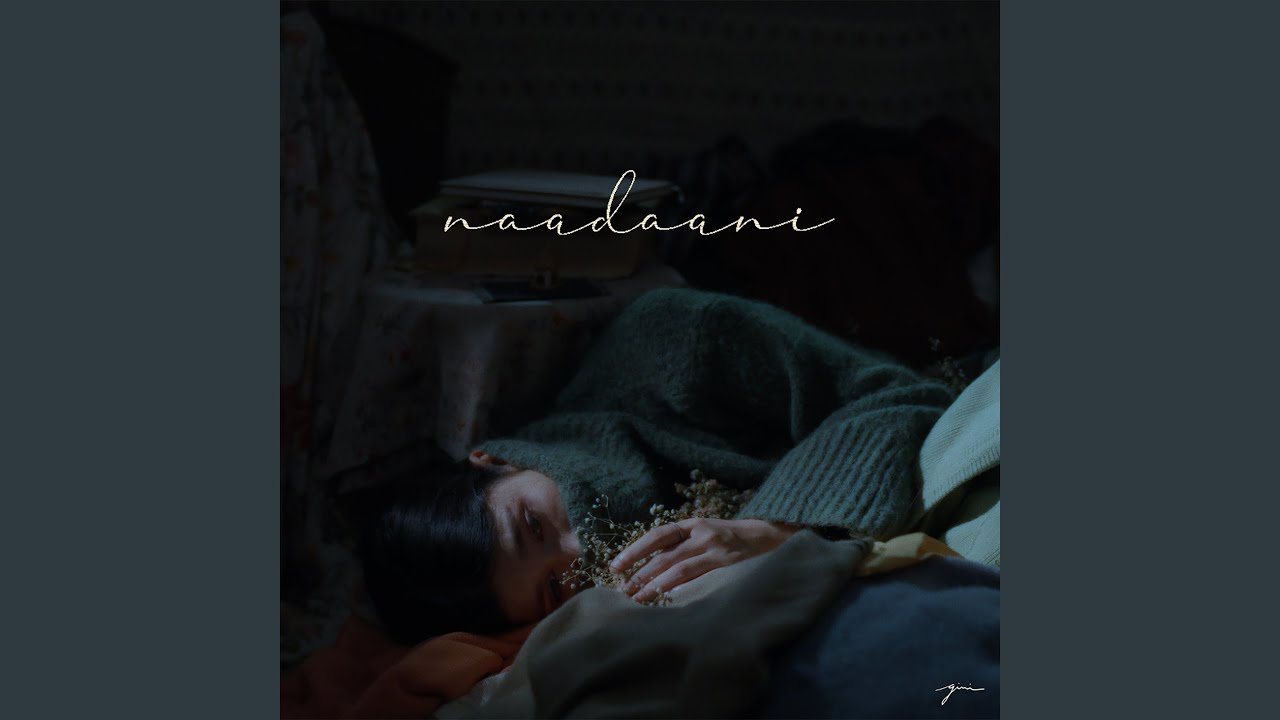 Naadaani
