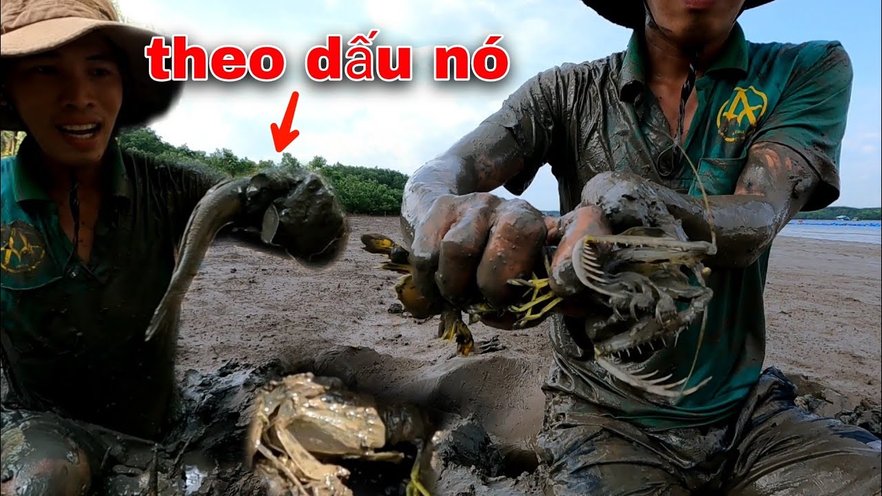 Tranh thủ nước rút tìm bắt Tôm Tít Biển và Cá Thồi Lòi | GĐCG #953
