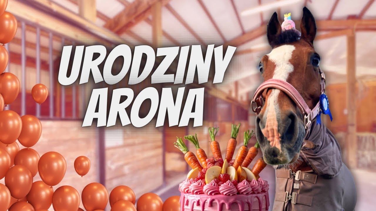 ZALEGŁE STARE ODCINKI: ARON MA URODZINY