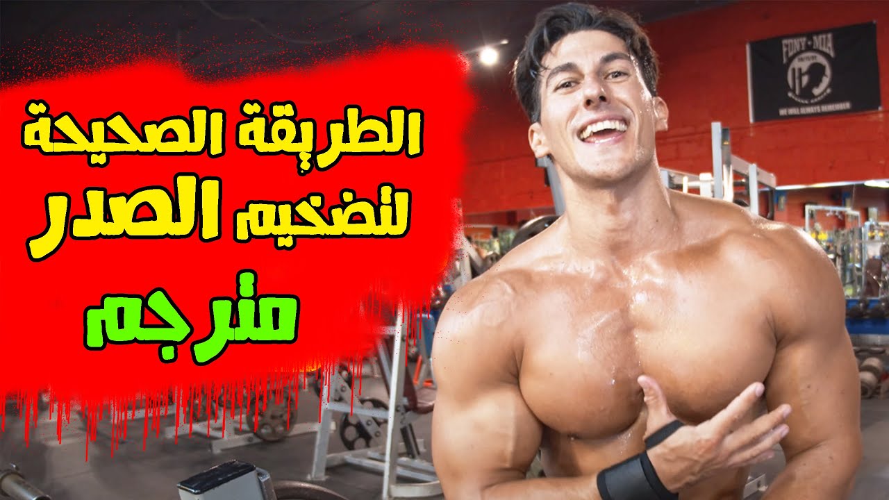 أقوى برنامج صدر احترافي سيغير صدرك 180 درجة بسرعة | صاديك هادزوفيتش | مترجم