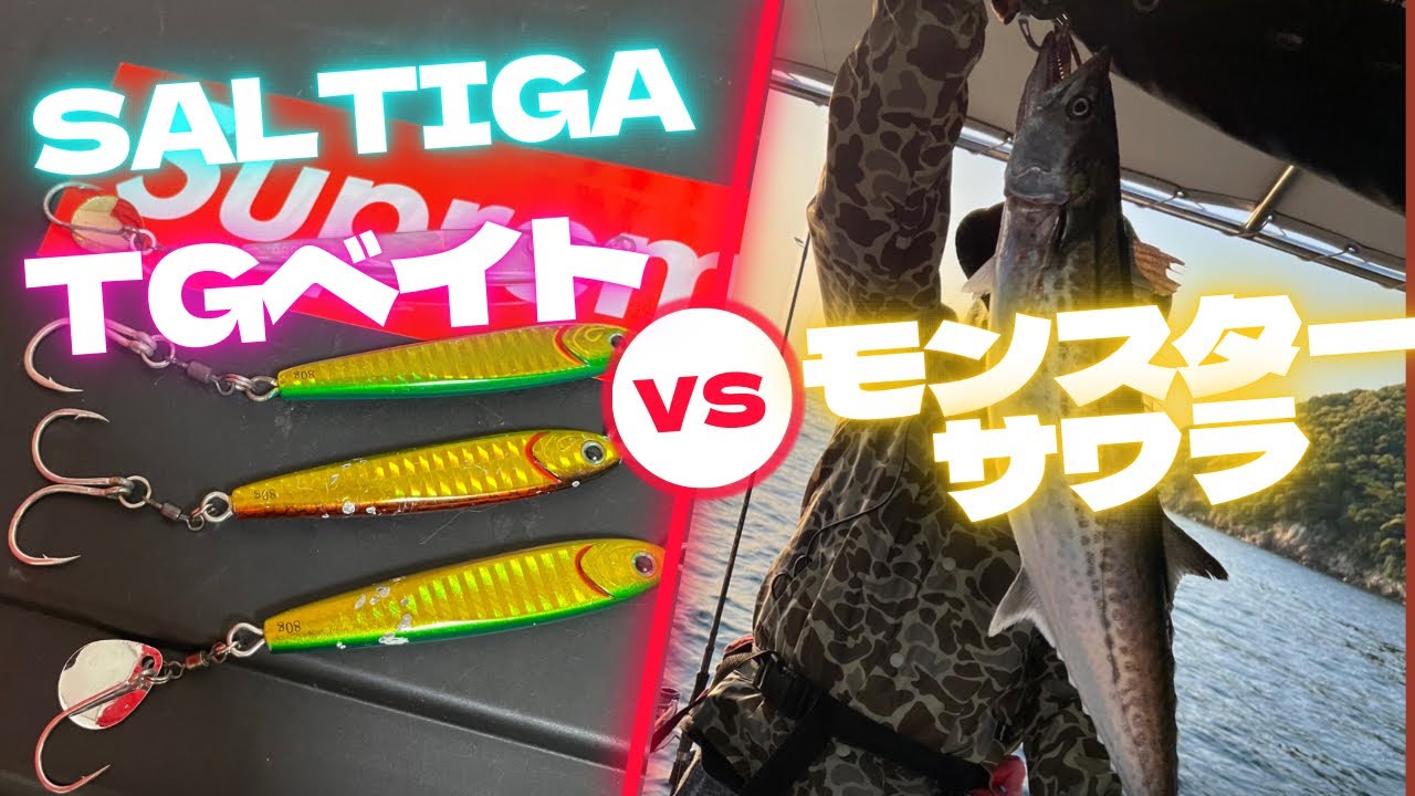 ☆Vol.62～サワラで有名な遊漁船でＧＷに春鰆☆【ＳＬＪ】～もっさんの休日☆