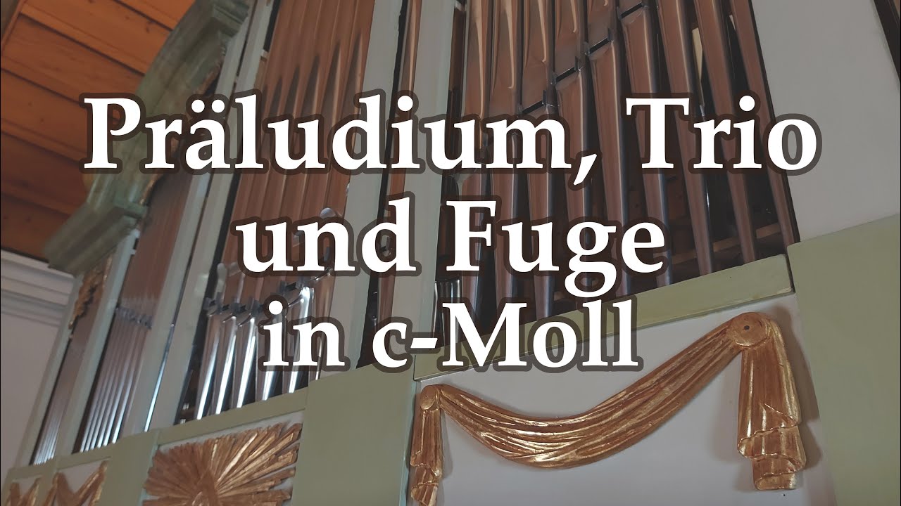 Präludium, Trio und Fuge in c-Moll (improvisiert), Martinskirche Kleingartach | Gregor Engelhardt