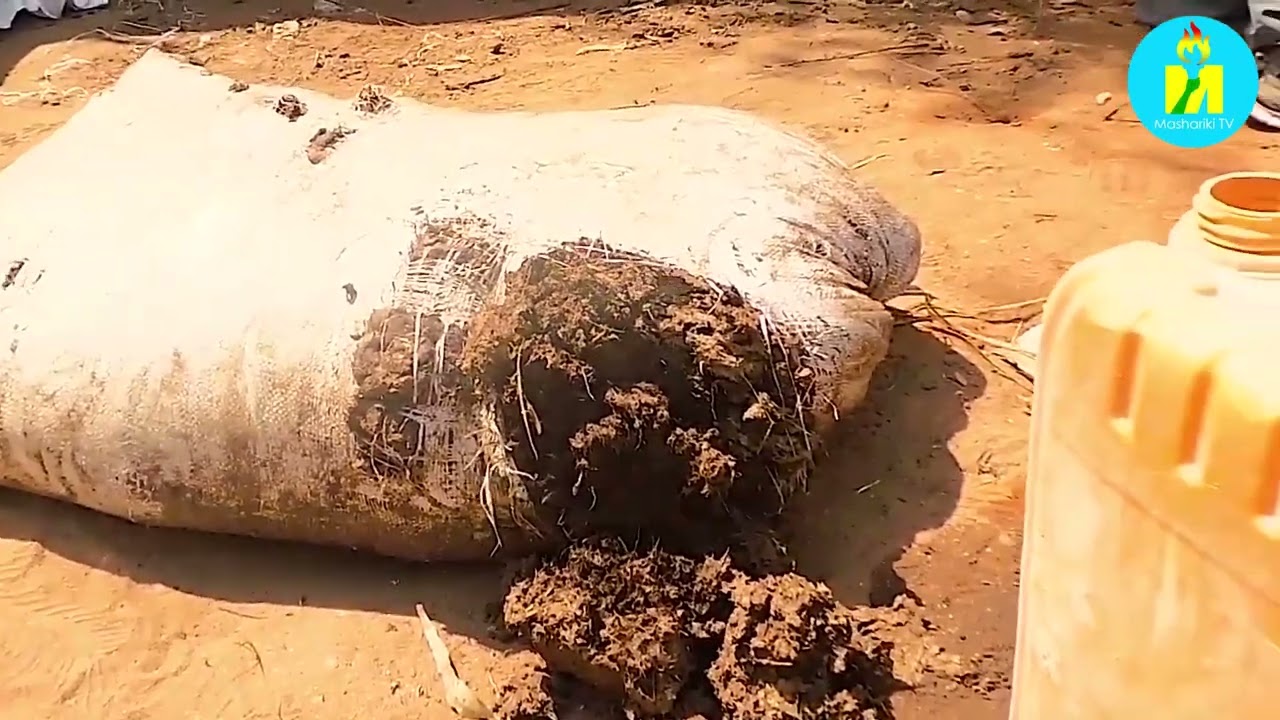 #Mashariki_TV yagendeye umworozi w'imisiba, isazi n'iyo agaburira ibitungwa