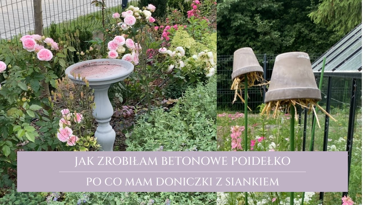 Jak zrobiłam poidełko | po co mi doniczki z siankiem | nowości ogrodowe i polecajki