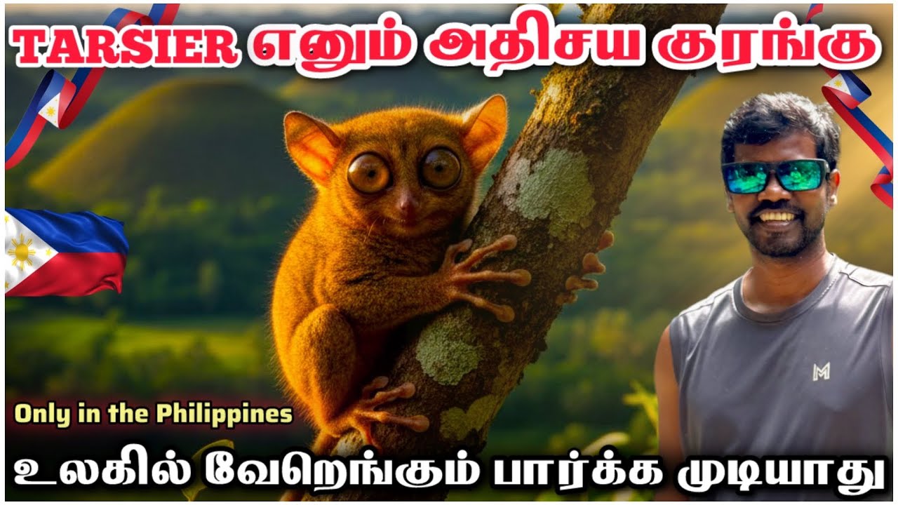 🐒 Tarsier Monkey Bohol 🇵🇭 | Philippines Tamil Travel Vlog | Tamil Roamer