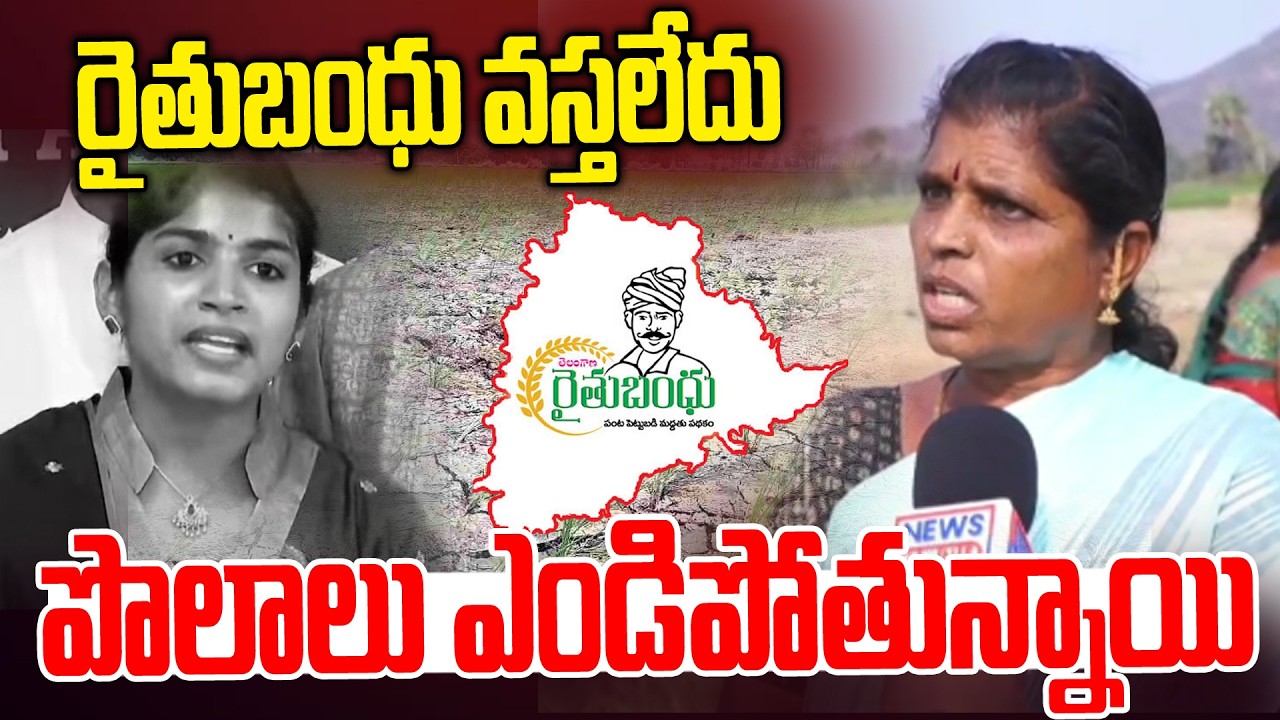 రైతుబంధు వస్తలేదు | Women Farmer Fires On Congress MLA Yashaswini Reddy | News Line Telugu